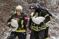 Неразлучная пара лебедей спасена на замерзающем Троекуровском пруду Москвы
