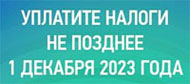 Уплатите налоги