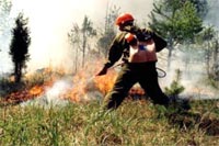 Соблюдайте меры пожарной безопасности в весенне-летний пожароопасный период!